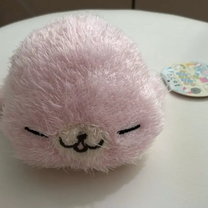 [BUNJANG] Sakura Mamegoma Plush (Tag Included) / 오늘만 할인) 레어 장모 사쿠라고마 마메고마 인형 (택o)