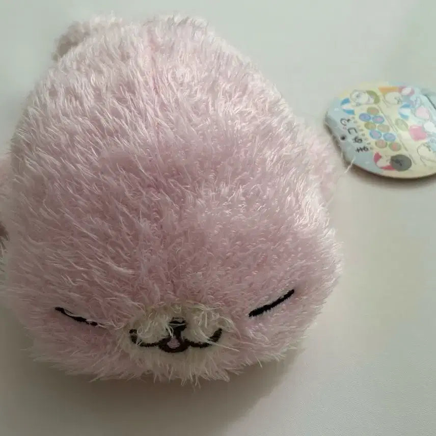 [BUNJANG] Sakura Mamegoma Plush (Tag Included) / 오늘만 할인) 레어 장모 사쿠라고마 마메고마 인형 (택o)