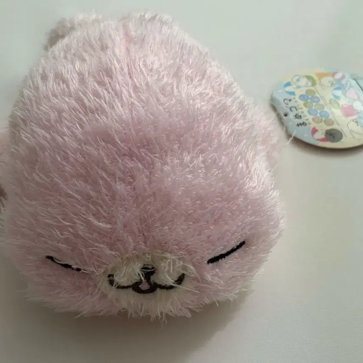 [BUNJANG] Sakura Mamegoma Plush (Tag Included) / 오늘만 할인) 레어 장모 사쿠라고마 마메고마 인형 (택o)