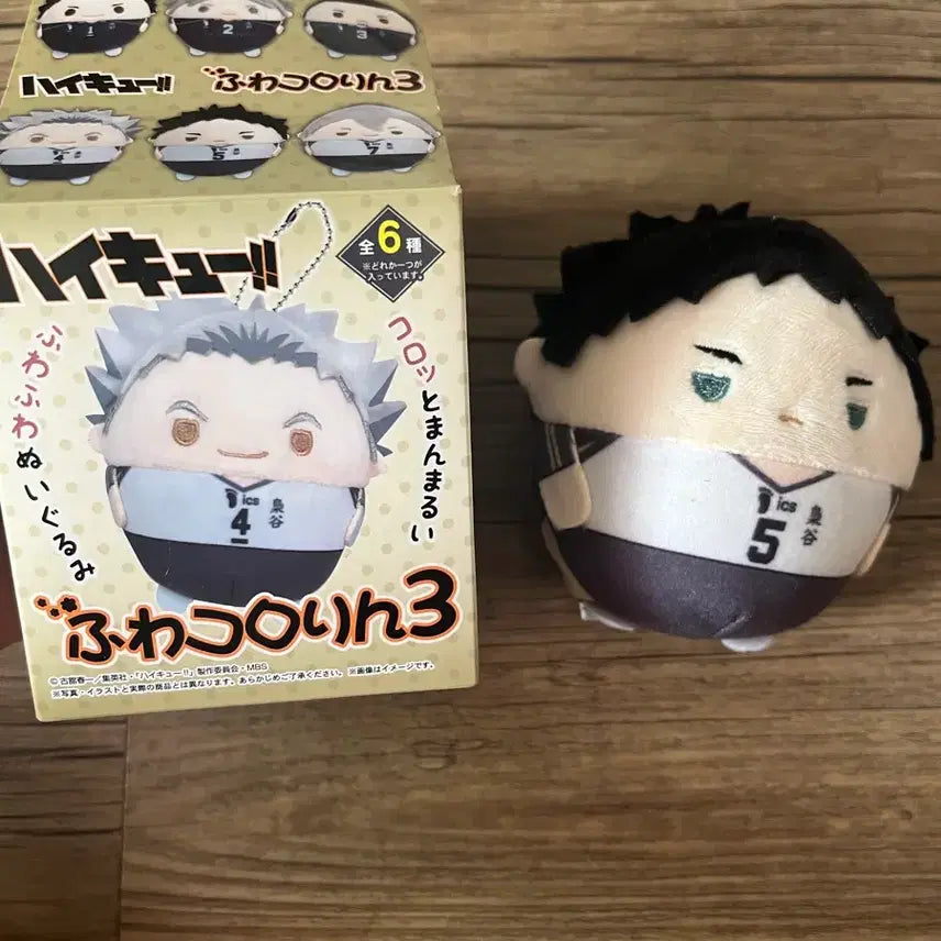 [SOLD OUT] (급처) 하이큐 아카아시 인형 판매