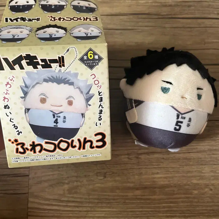 [SOLD OUT] (급처) 하이큐 아카아시 인형 판매