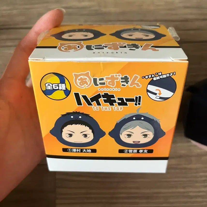 [BUNJANG] Haikyuu!! Daichi Plush Doll / (급처) 하이큐 다이치 인형 판매