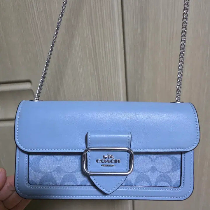 [BUNJANG] Coach Mini Crossbody Bag / 코치 미니크로스백