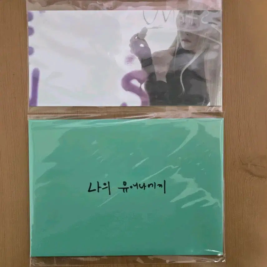 [BUNJANG] IU Hol Concert 3/3 POB / 아이유 헐콘서트 3/3 측전