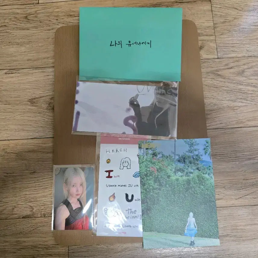 [BUNJANG] IU Hol Concert 3/3 POB / 아이유 헐콘서트 3/3 측전