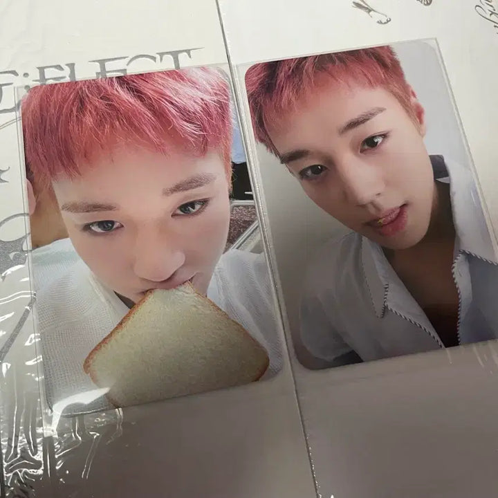 [BUNJANG] Park Ji Hoon Album Bundle Photocard Set (Sealed) / 미개봉)박지훈 포카 앨범 일괄 양도
