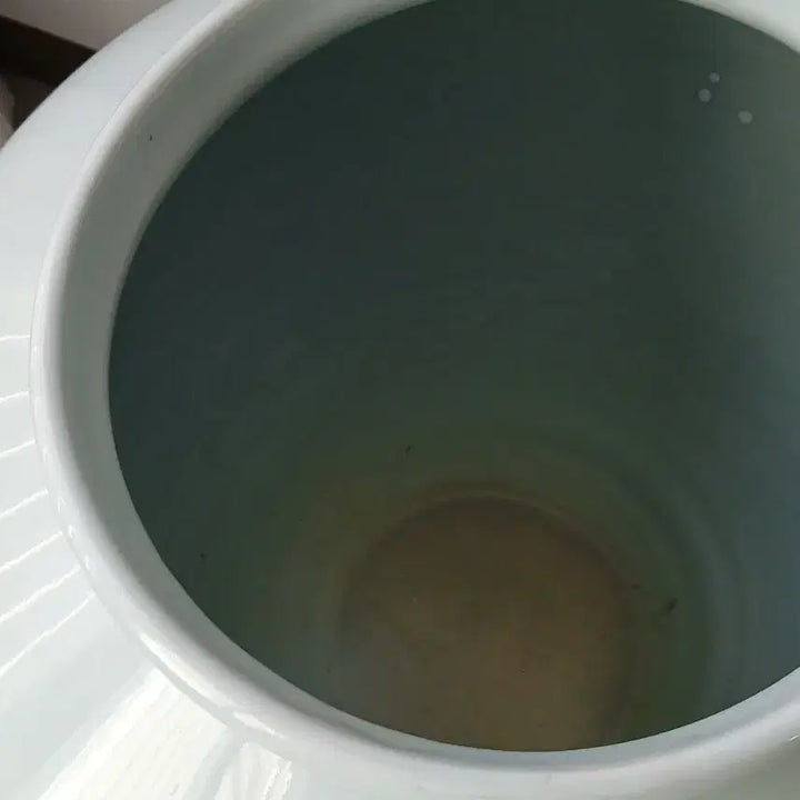 [BUNJANG] White Porcelain Moon Jar / 달항아리