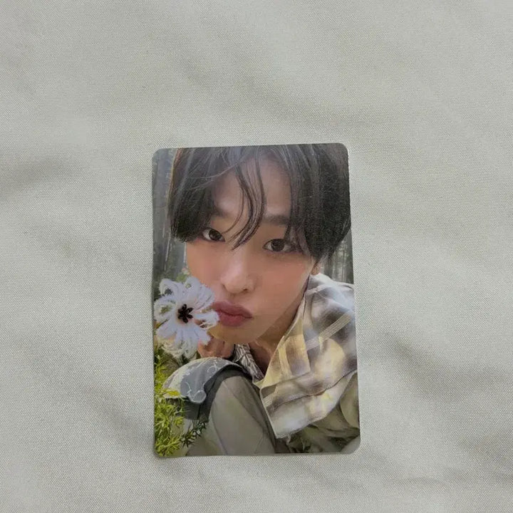 [BUNJANG] NCT WISH Riku Photocard / 엔시티위시 리쿠 포카