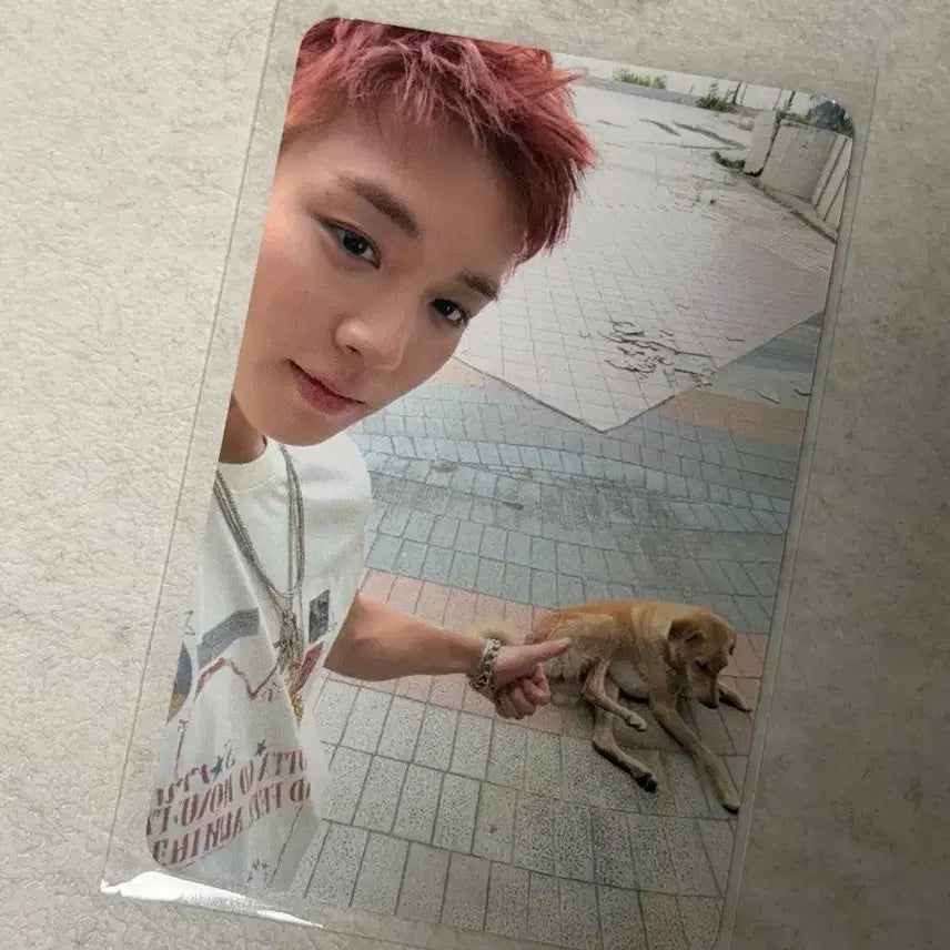 [SOLD OUT] 박지훈 사운드웨이브 팝업 럭키드로우 미공포 판매합니다