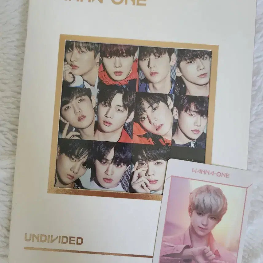 [BUNJANG] Wanna One Number One Album Unsealed &amp; Park Jihoon Photocard / 워너원 넘버원 개봉앨범 &amp; 박지훈 포토카드