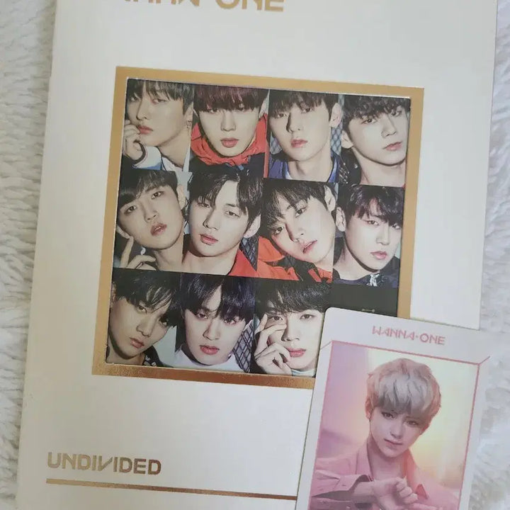 [BUNJANG] Wanna One Number One Album Unsealed &amp; Park Jihoon Photocard / 워너원 넘버원 개봉앨범 &amp; 박지훈 포토카드