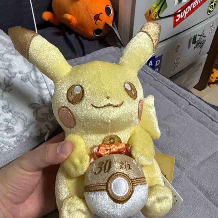 [BUNJANG] Pokemon Center 30th Anniversary Pikachu Plush Toy / 포켓몬센터 30주년 기념 봉제인형 피카츄