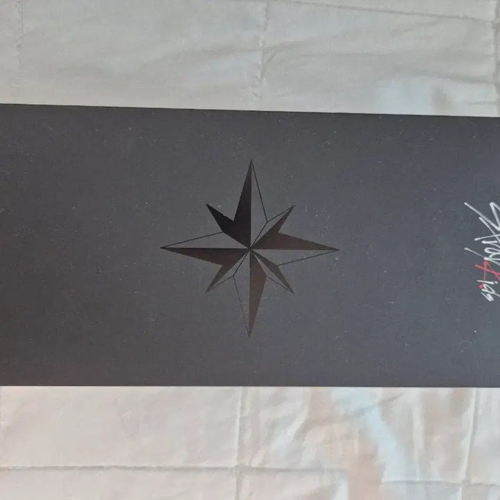 [BUNJANG] Stray Kids Official Lightstick Ver. 2 / 스키즈 나침봉 (응원봉)