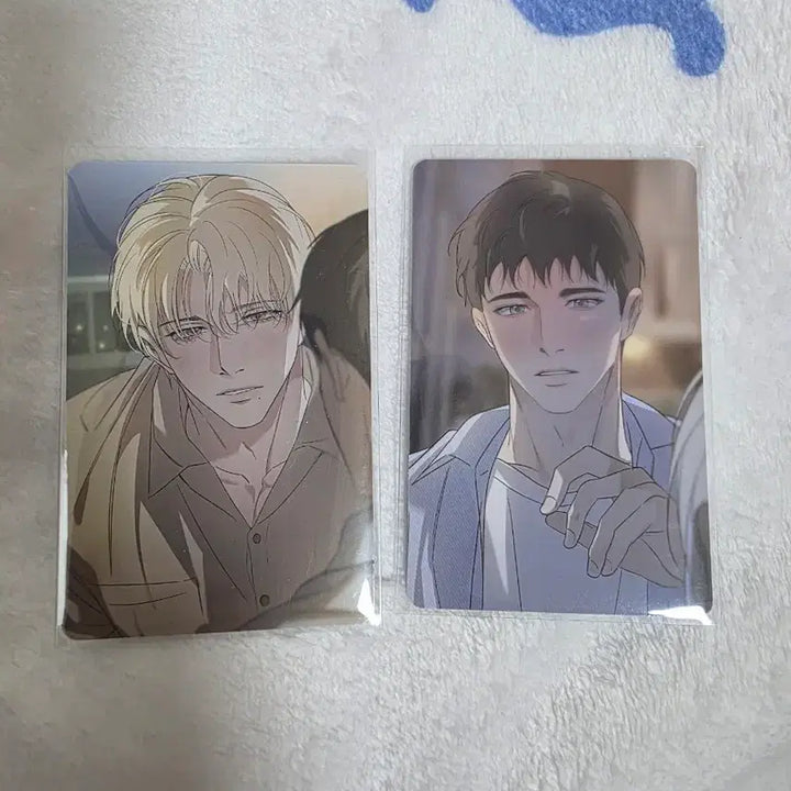 [BUNJANG] Backlight Han Seoin Baek Youngwoon Photocard Bundle Set / 백라이트 한서인 백영운 포토카드 포카 일괄