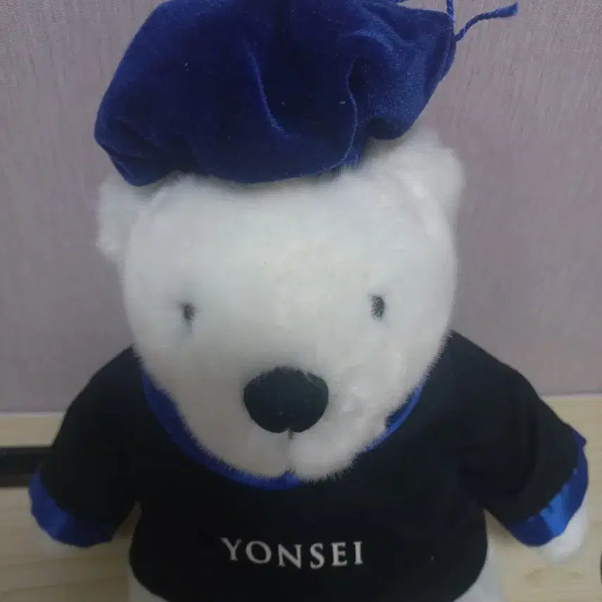 [BUNJANG] Yonsei University Graduation Bear (Yeongomi) / 연세대 학사모 곰인형 연곰이