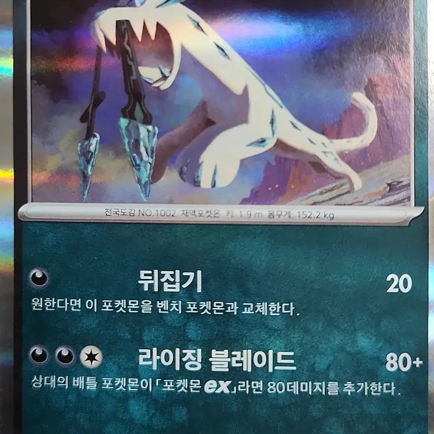 [BUNJANG] Pokemon Paogen R Card / [!!당일 발송!!] 추천!! 파오젠 R