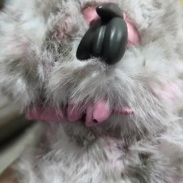 [BUNJANG] Nomi Forest Kingdom Tiger Print Plush / 노미 포레스트 킹덤 호피