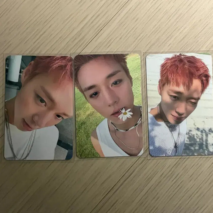 [BUNJANG] Park Ji Hoon Popup 3 Photocard Bundle Set / 박지훈 팝업 5만원이상 포카 3종 일괄