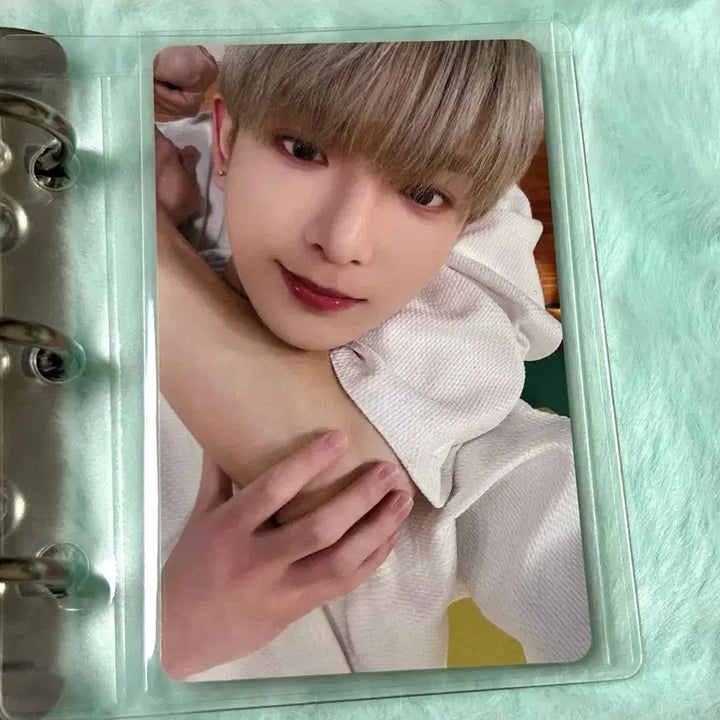 [BUNJANG] ENHYPEN GOING SEVENTEEN Hey Say Harua Lucky Draw Photocard / 앤팀 고인블 유니버셜 하루아 포카 럭드 럭키드로우 양도 판매