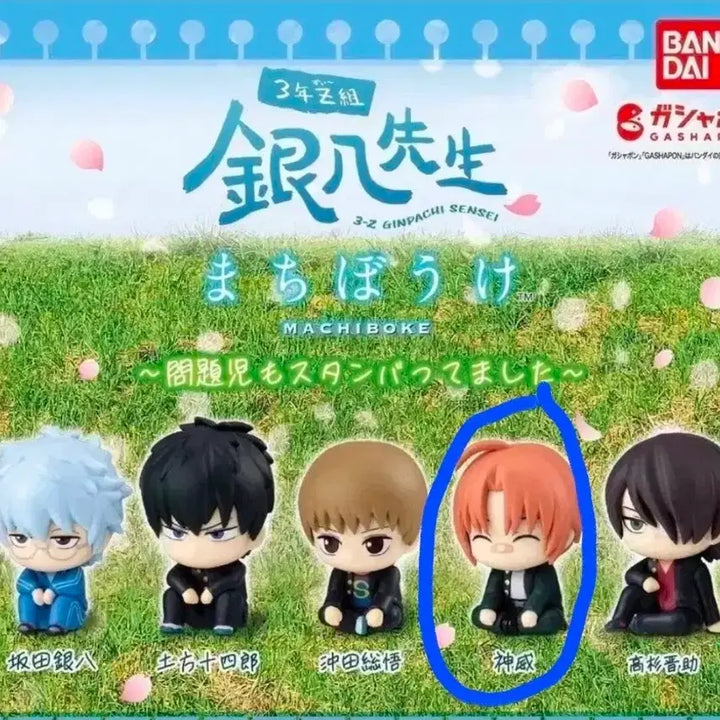 [BUNJANG] Bandai Gintama Kamui Machi-Boke Gacha Figure / 반다이 은혼 카무이 마치보케 가챠 피규어