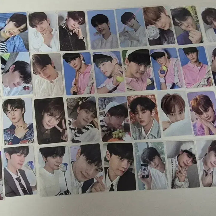 [BUNJANG] Kim Gyuvin Bundle Set Photocard / 김규빈 포카 일괄 양도
