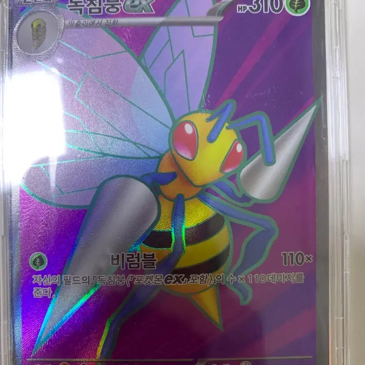 [BUNJANG] Pokemon Card SR / 포켓몬카드 sr 각각 판매