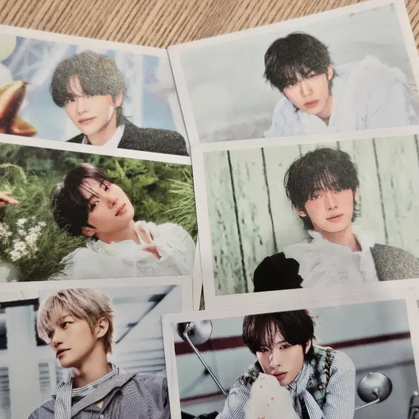 [BUNJANG] TWS Shiny Dohoon Jihun Hanjin Kyungmin Postcard Set / 투어스 TWS 차백도 엽서