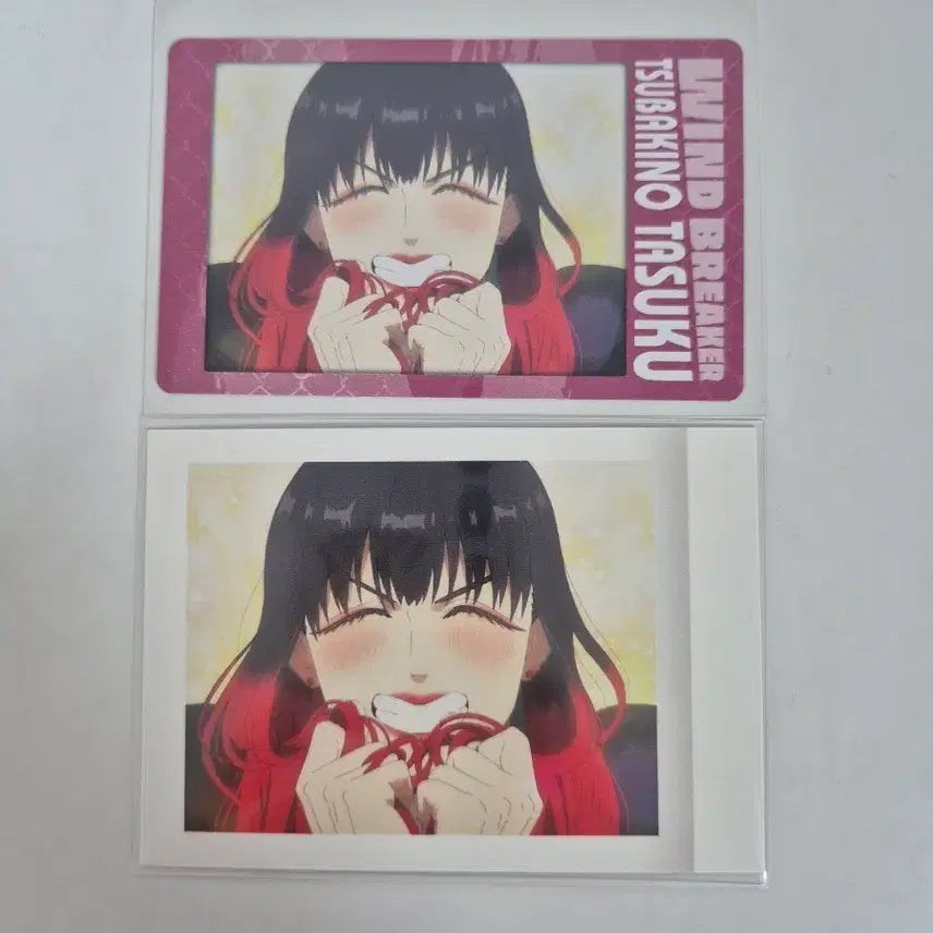[BUNJANG] Winter Breath Tsubakino Card Set / 윈브레 츠바키노 카드세트