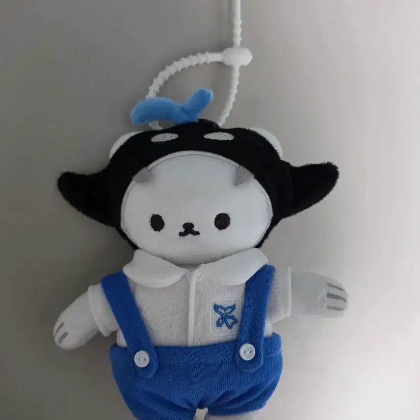 [BUNJANG] GMMTV Talking Polca Stuffed Doll / gmmtv 말하는폴카산 인형