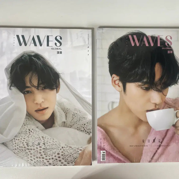 [BUNJANG] SEVENTEEN Mingyu WAVE Magazine Bundle Set / 세븐틴 민규 웨이브 잡지 2권 및 포스터 일괄 판매