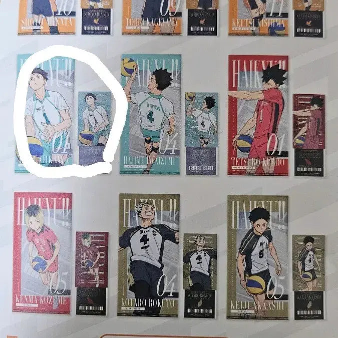 [SOLD OUT] 하이큐 제일복권 I상 오이카와 토오루 파일