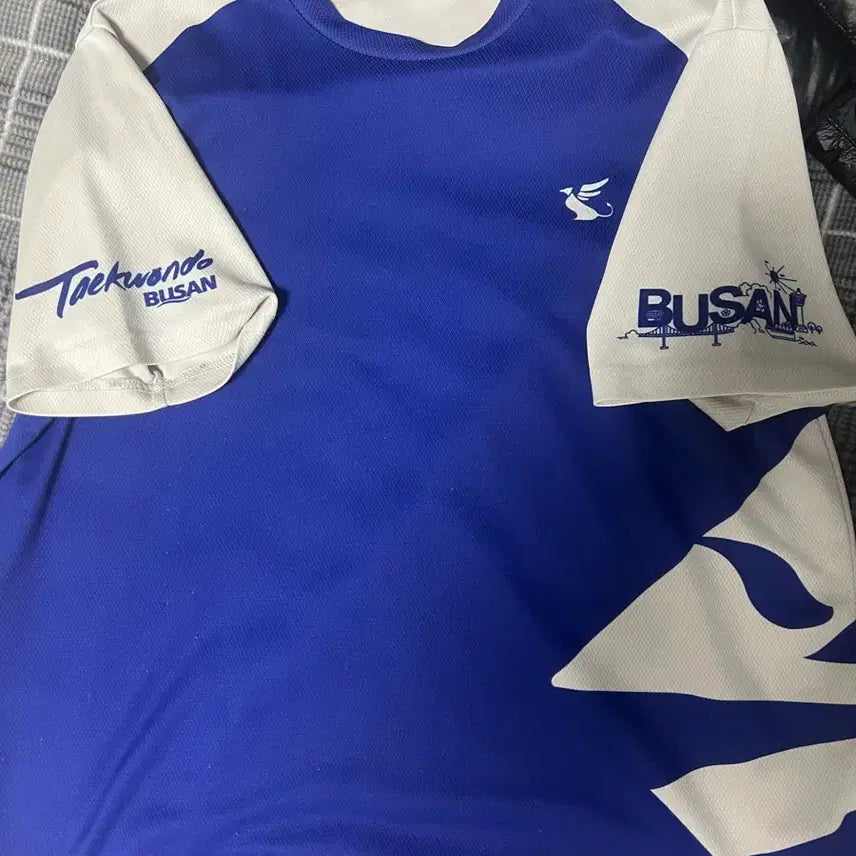 [BUNJANG] Busan Representative Taekwondo T-Shirt / 부산 대표 옷