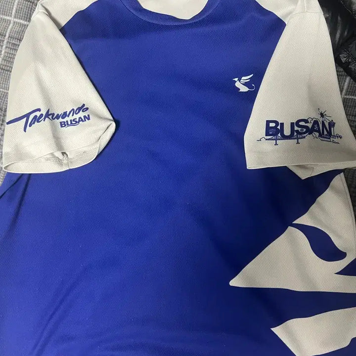 [BUNJANG] Busan Representative Taekwondo T-Shirt / 부산 대표 옷