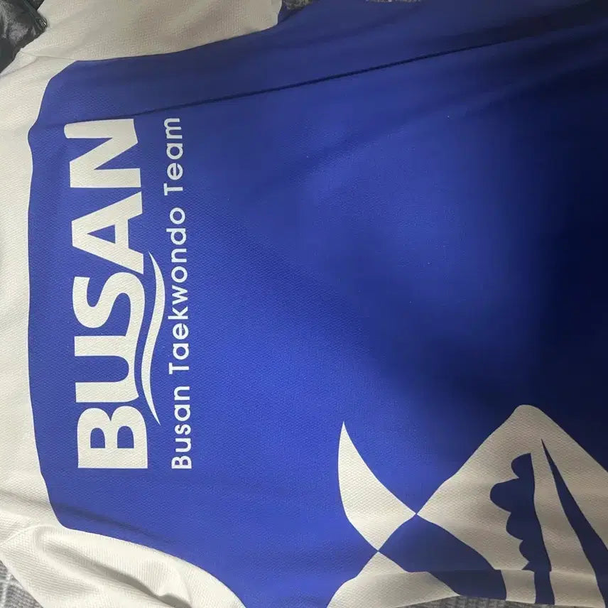 [BUNJANG] Busan Representative Taekwondo T-Shirt / 부산 대표 옷