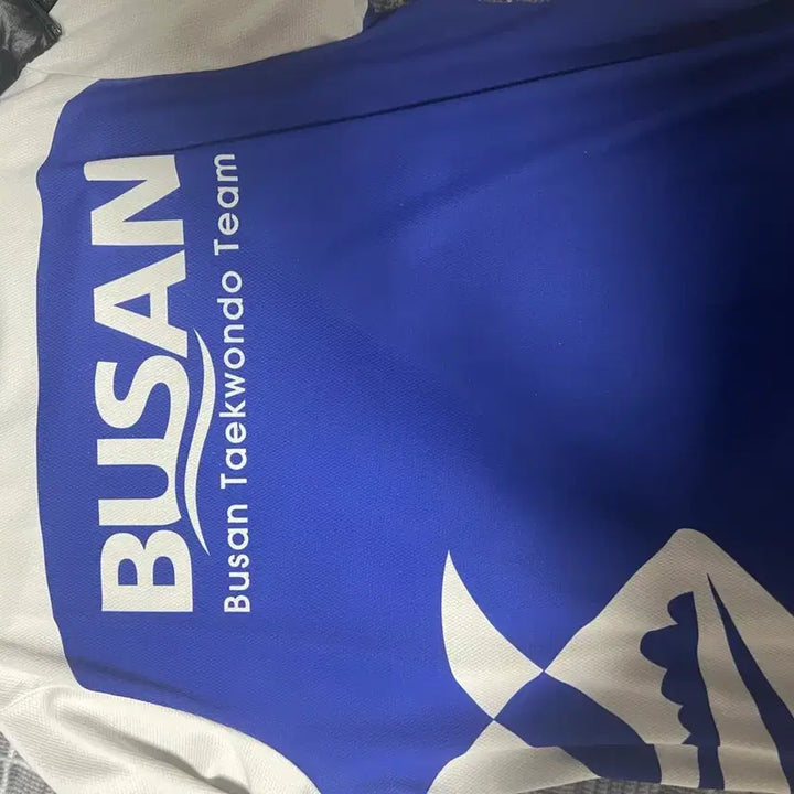 [BUNJANG] Busan Representative Taekwondo T-Shirt / 부산 대표 옷