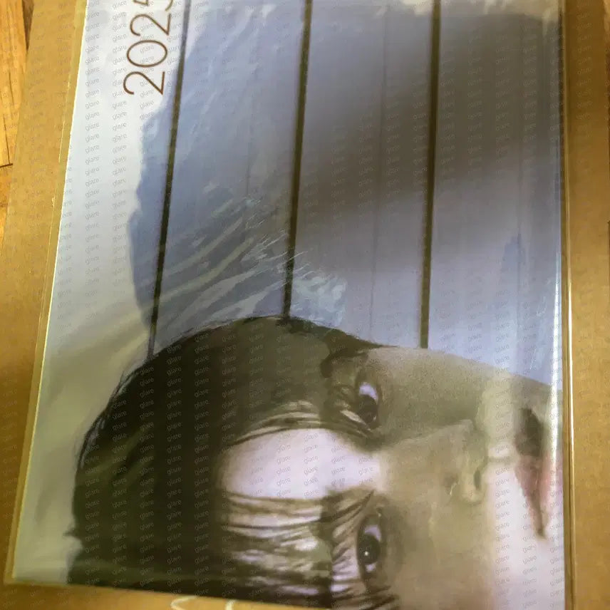 [BUNJANG] Byeon Woo Seok Dicon C Photobook / 변우석 배우 디아이콘 C