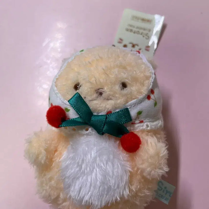 [BUNJANG] Shirotan Plush Doll / 시로탄 인형