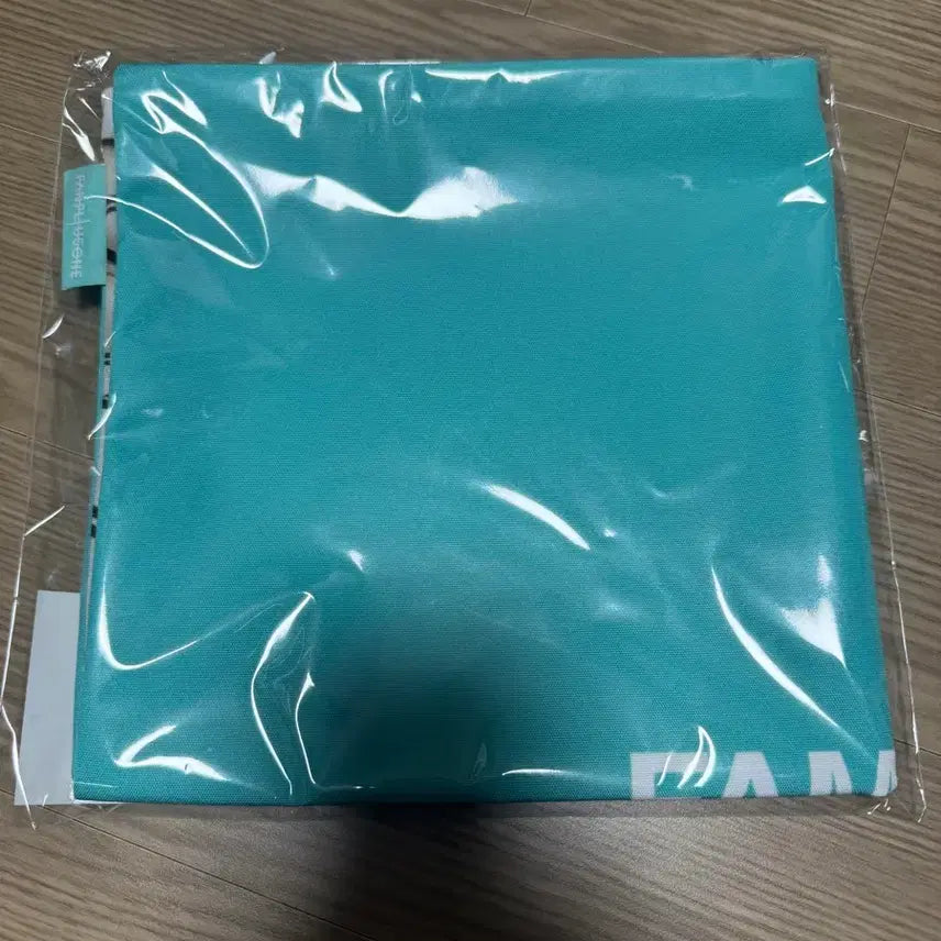 [BUNJANG] G-Dragon Cushion Cover Polyester Mint White 400x400mm / 지드래곤 쿠션 커버