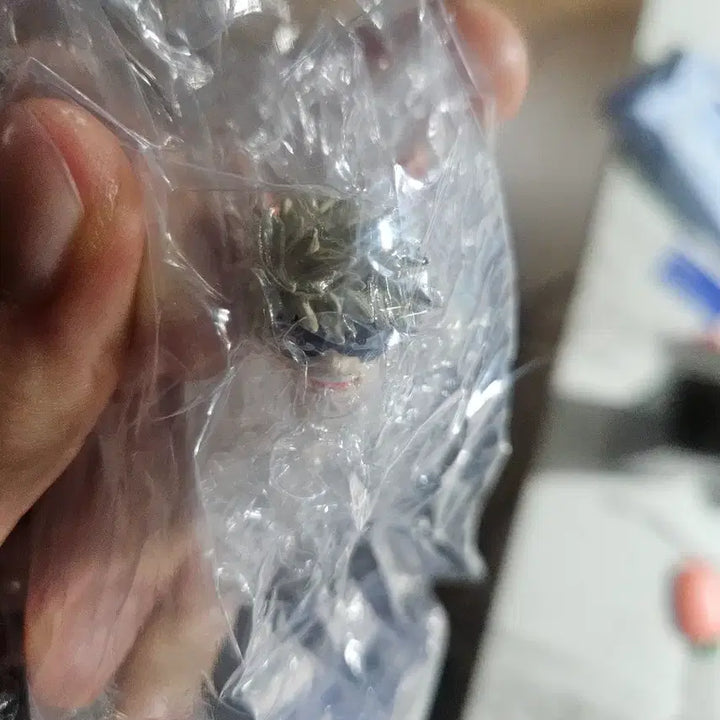 [BUNJANG] My Hero Academia Figu.se Mini Figure Bakugo / 나의 히어로 아카데미아 figuno 피그노 피규노 미니 피규어 바쿠고