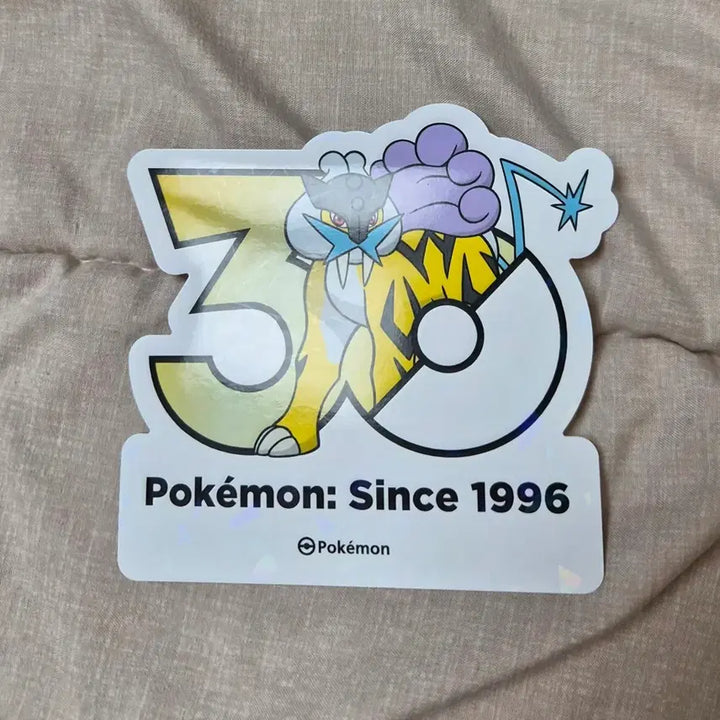 [BUNJANG] Raikko Festa 30th Anniversary Logo Sticker / 라이코 페스타 30주년 로고 스티커 팝업 성수