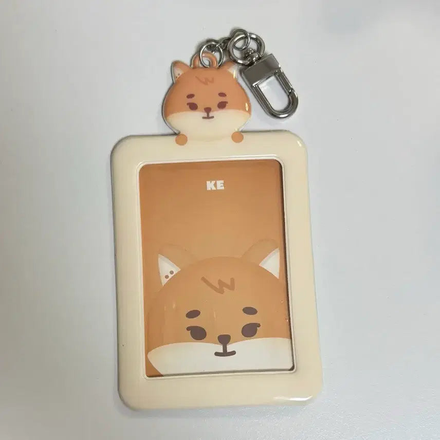 [SOLD OUT] 데이식스 포토카드 홀더 영케이 케 데니멀즈 포카
