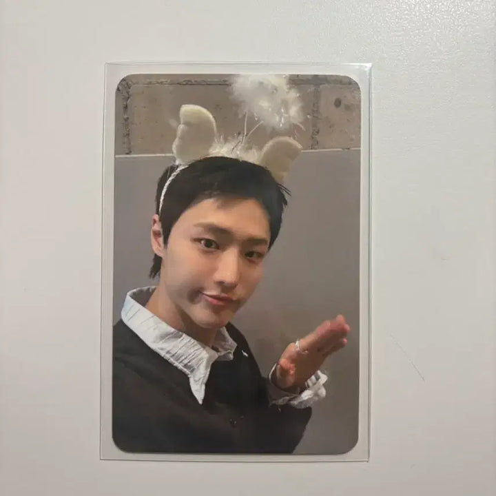 [BUNJANG] WOODZ Cho Seung Youn Harula Photo Card / 우즈 조승연 woodz 하룰라라 포카 양도