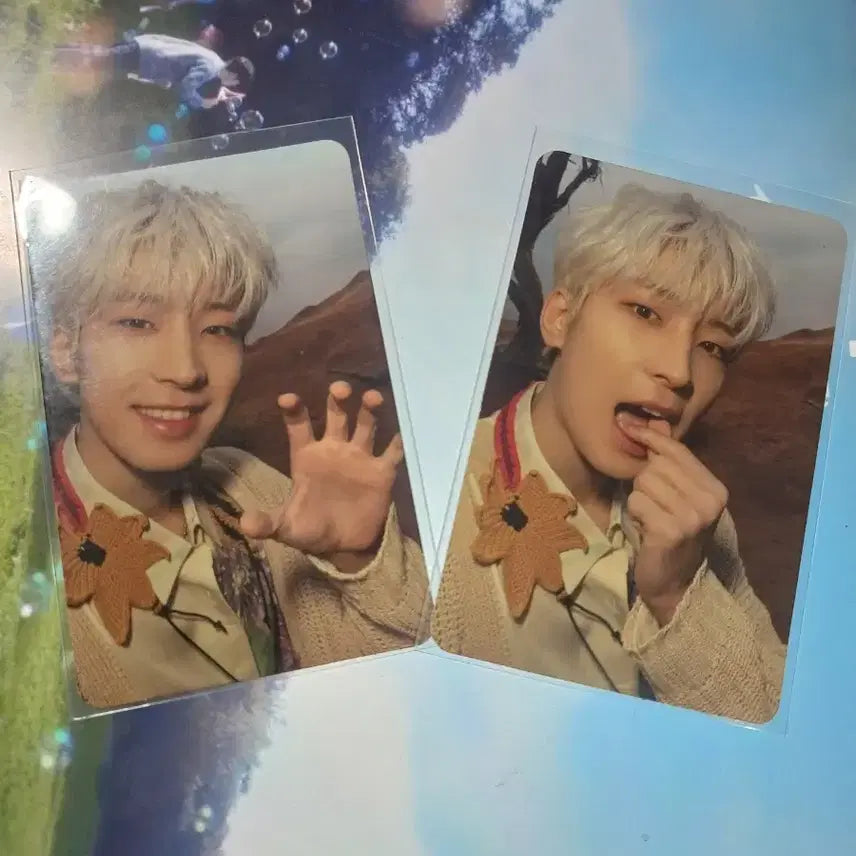 [BUNJANG] SEVENTEEN Wonwoo FACE THE SUN Photocard Bundle Set / 원우 FACE THE SUN 포카 일괄 양도