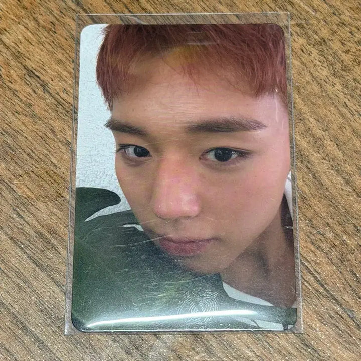 [BUNJANG] Park Jihoon Photocard / 박지훈 포토카드