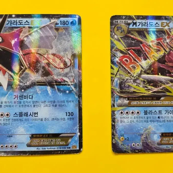 [BUNJANG] Pokemon Card Gyarados EX Set XY / 포켓몬카드 m갸라도스 EX세트 XY
