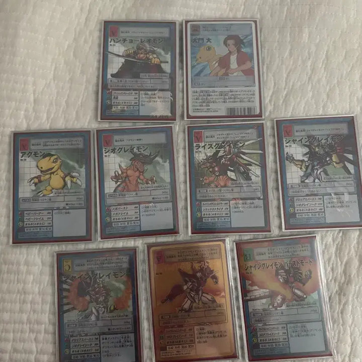 [BUNJANG] Digimon Digivolution Tree Bundle Set (ShineGreymon) / 디지몬 구디지몬카드 샤인그레이몬 진화트리등 신디지몬카드 소스 포함 일괄