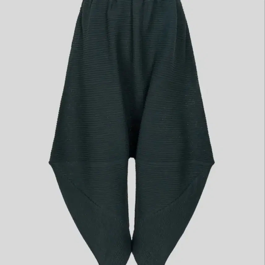 [BUNJANG] ISSEY MIYAKE Pleats Pants Black / ISSEY MIYAKE 플리츠 팬츠_Black (F)