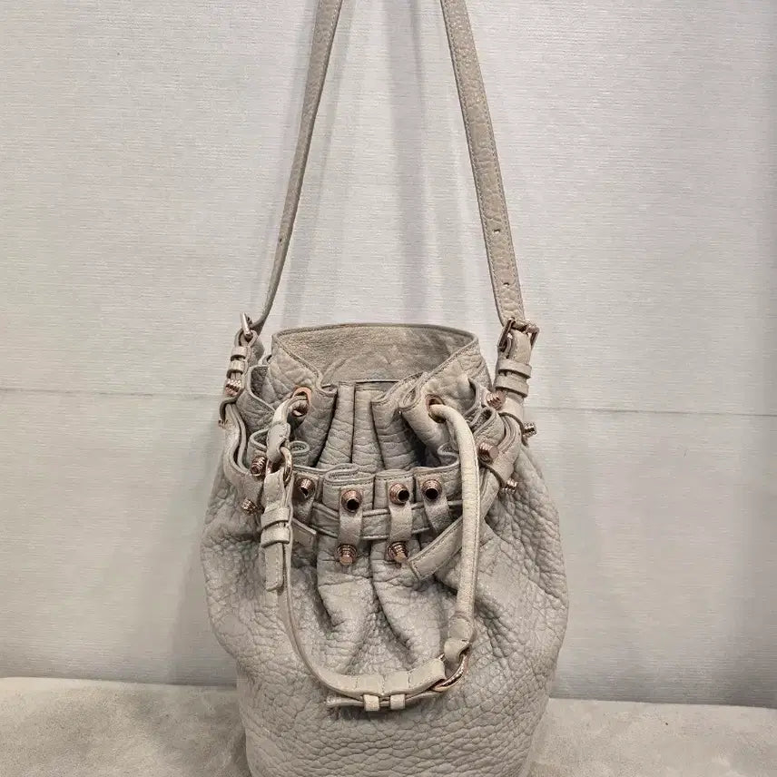 [BUNJANG] Alexander Wang Diego Bucket Bag Light Grey Shoulder Bag Crossbody Bag / 알렉산더왕 디에고 버킷백 라이트그레이 숄더백 크로스백