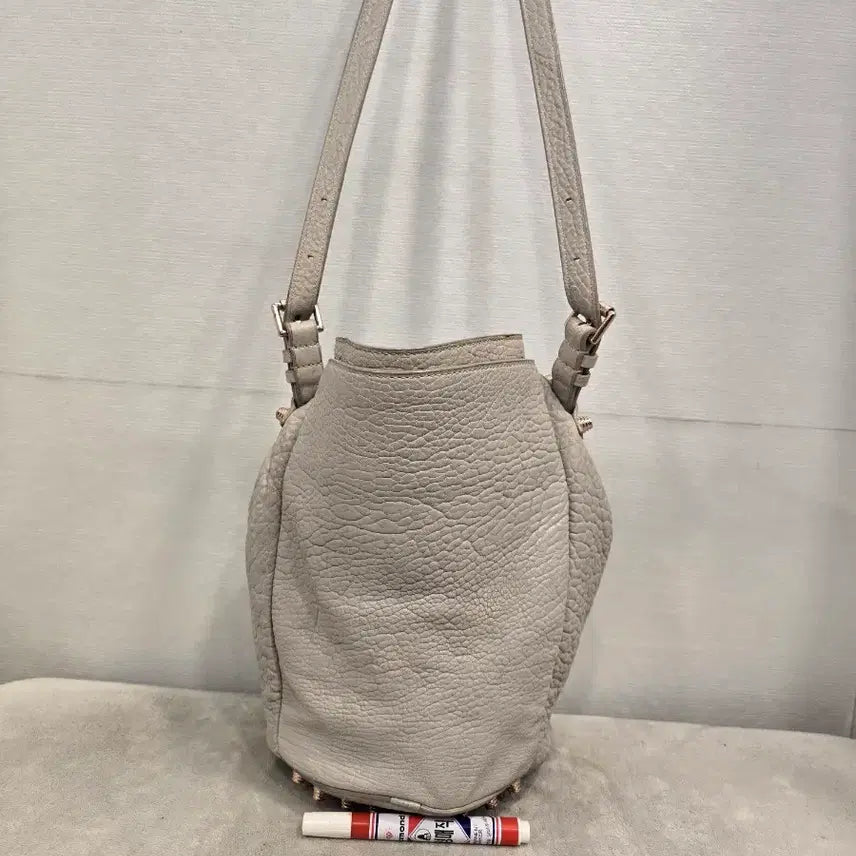 [BUNJANG] Alexander Wang Diego Bucket Bag Light Grey Shoulder Bag Crossbody Bag / 알렉산더왕 디에고 버킷백 라이트그레이 숄더백 크로스백