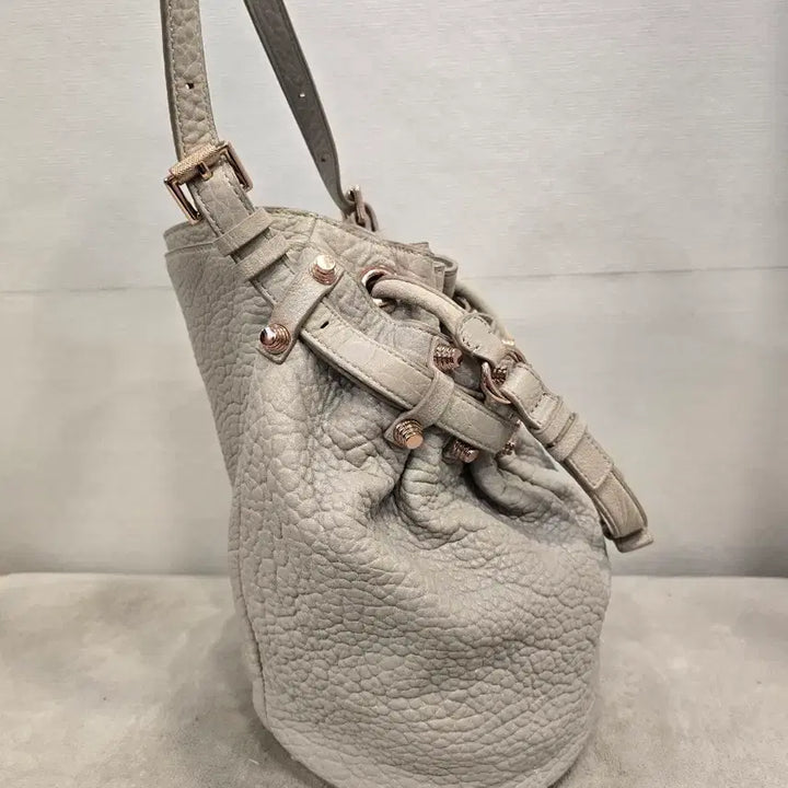 [BUNJANG] Alexander Wang Diego Bucket Bag Light Grey Shoulder Bag Crossbody Bag / 알렉산더왕 디에고 버킷백 라이트그레이 숄더백 크로스백